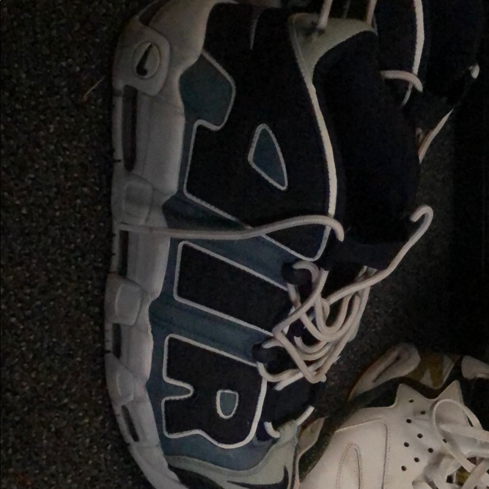 Air Pippen size 12